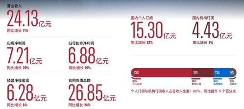 金山办公上半年净利增长超20 期内关停国内广告业务迭代wps ai