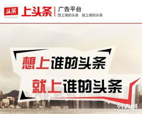 关于今日头条广告代理业务