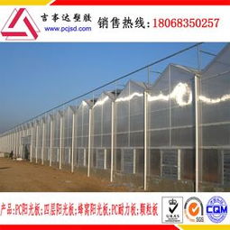 计算机图文设计 数字化时代的创意表达与技术融合