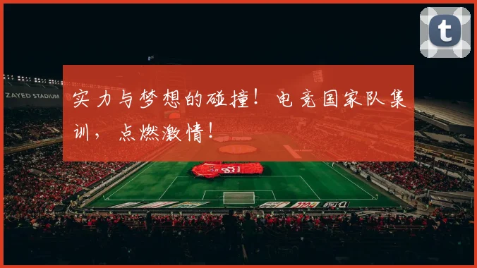 实力与梦想的碰撞!电竞国家队集训,点燃激情!