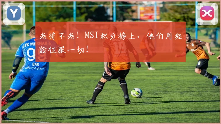 老将不老!MSI积分榜上,他们用经验征服一切!
